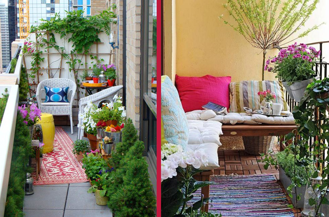 kert, terasz